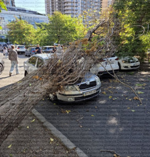 Фото: Думська