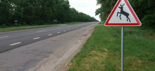 Обережно, дикі тварини! Водіїв закликають бути уважними під час осінніх подорожей Як уникнути ДТП з дикими тваринами: поради водіям