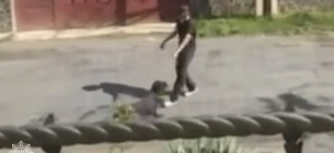 В Ужгороді вилучили собаку після побиття господарем В Ужгороді вилучили собаку після жорстокого поводження господаря. Фото: патрульна поліція України