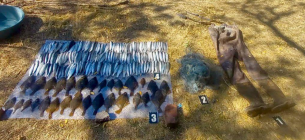 На Одещині браконьєра спіймали на вилові риби у заповідній зоні на 4 млн грн На Одещині браконьєр наловив риби на 4 млн грн у заповідній зоні