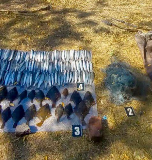 В Одесской области браконьер наловил рыбы на 4 млн грн в заповедной зоне