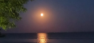 Емоційний шторм: повня 7 жовтня в Овні виштовхне назовні приховані почуття Повня 7 жовтня в Овні: Емоційний шторм, тривога та різкі рішення