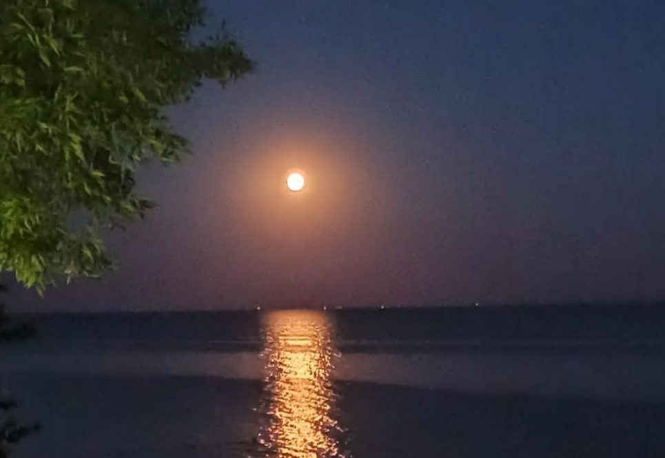 Повня 7 жовтня в Овні: Емоційний шторм, тривога та різкі рішення