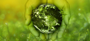 Навчання заради майбутнього, яке дихає і надихає Всесвітній день екологічної освіти: історія, значення