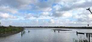 Екологічне оновлення: мільйони мальків товстолоба випустили в озера Ялпуг і Кугурлуй на Одещині Озера Ялпуг і Кугурлуй на Одещині зарибили мільйонами мальків товстолоба