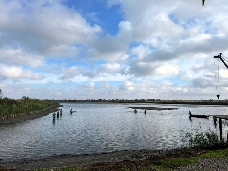 Озера Ялпуг і Кугурлуй на Одещині зарибили мільйонами мальків товстолоба
