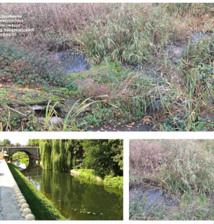 На Закарпатті розслідують забруднення річки Верке 