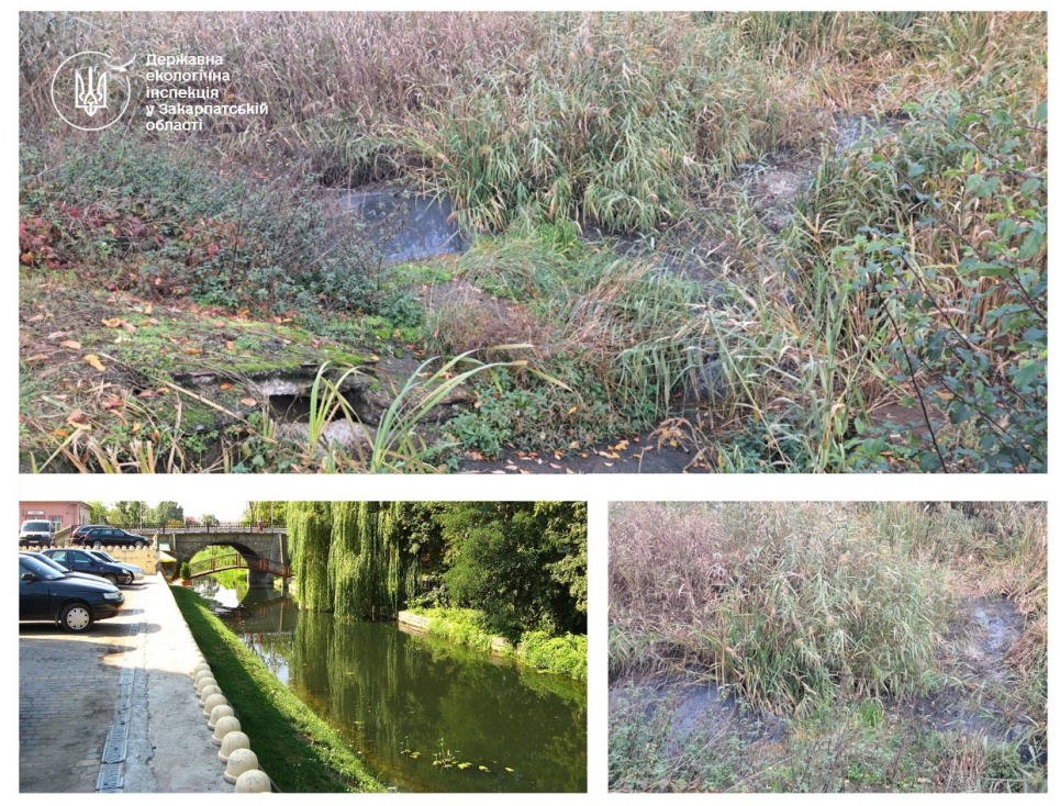 На Закарпатті розслідують забруднення річки Верке (ФОТО) На Закарпатті розслідують забруднення річки Верке