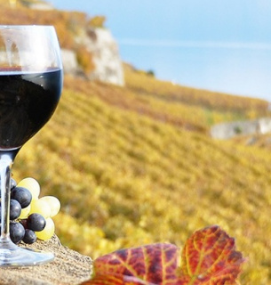 Каріньян повертається: день, коли червоне вино з характером святкує своє відродження Міжнародний день вина Каріньян. Фото: Shutterstock