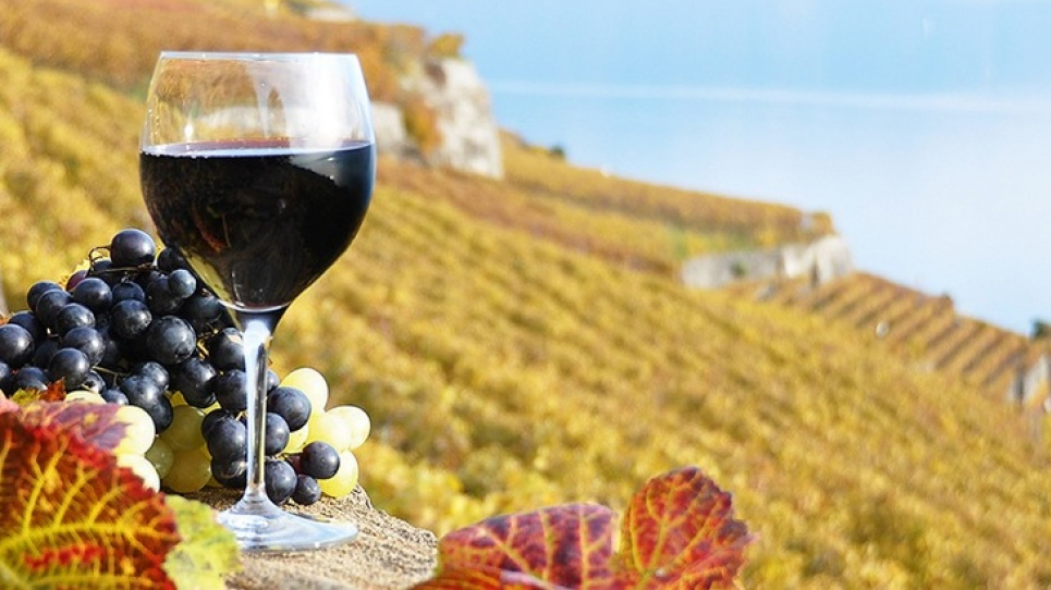 Каріньян повертається: день, коли червоне вино з характером святкує своє відродження Міжнародний день вина Каріньян. Фото: Shutterstock