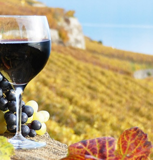 Міжнародний день вина «Карменер» (Carmenère)