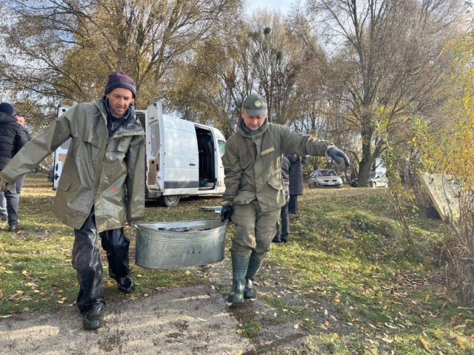 В Одеській області вводять осінньо-зимову заборону на вилов риби у зимувальних ямах
