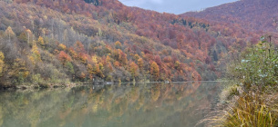 На Хустщині випустили 8600 мальків форелі: Компенсація за шкоду від МГЕС