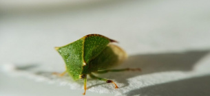 Фото: Ольги Бельской