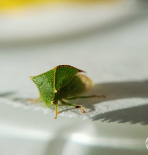 Фото: Ольги Бєльської