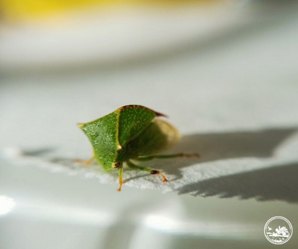 Фото: Ольги Бельской