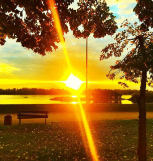 Осінній Кременчук: Золотаво-багряний вибух кольорів у Придніпровському парку та на набережній. Фото: Анатолій Сербін