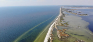 Фактически уничтожены: Кинбурнская коса и «Аскания-Нова» стали жертвами российской агрессии