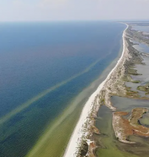 Фактично знищені: Кінбурнська коса та «Асканія-Нова» стали жертвами російської агресії 