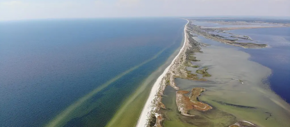 Фактически уничтожены: Кинбурнская коса и «Аскания-Нова» стали жертвами российской агрессии