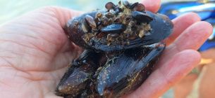 Фото: Суспільне Одеса