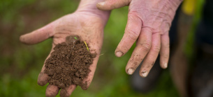 Фото: David Bebber _ WWF-UK