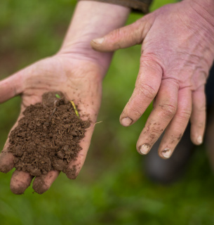 Фото: David Bebber _ WWF-UK