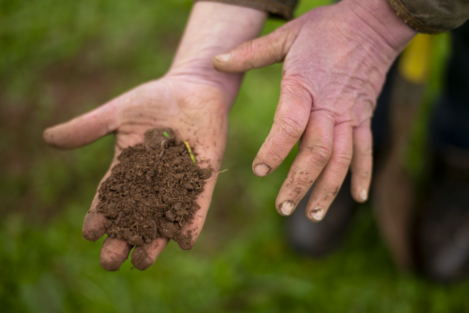 Фото: David Bebber _ WWF-UK