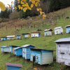 Фото: Tetyana Turlikyan / WWF-Ukraine