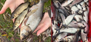 Фото: Хмельницький рибоохоронний патруль / Facebook 