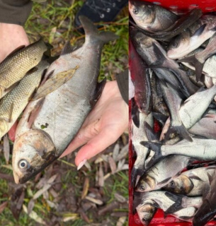 Фото: Хмельницький рибоохоронний патруль / Facebook 