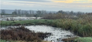 Болградский горсовет под прицелом экологов: cистемное загрязнение почвы канализационными стоками.