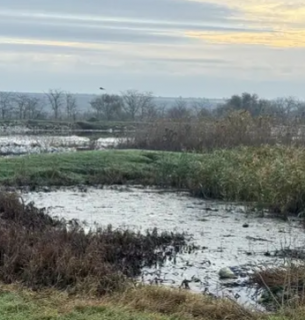 Болградська міськрада під прицілом екологів: системне забруднення ґрунту каналізаційними стоками.