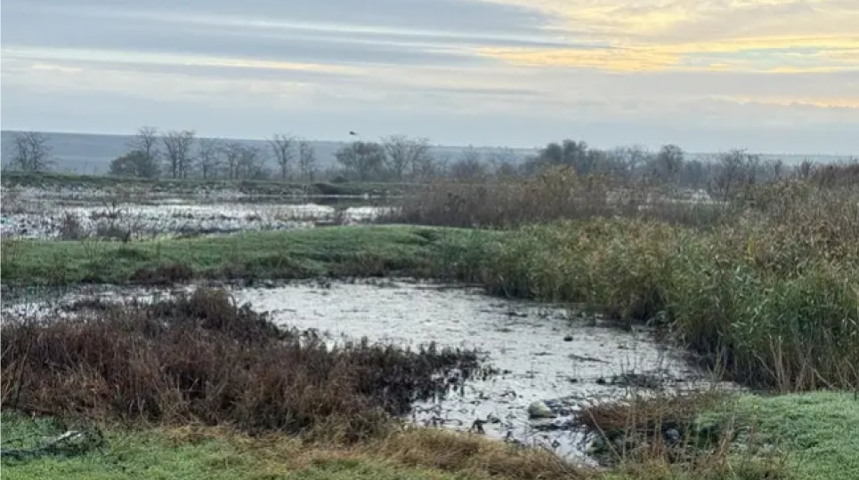 Болградский горсовет под прицелом экологов: cистемное загрязнение почвы канализационными стоками.