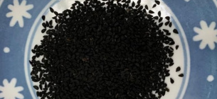 Фото: Osaka Metropolitan University