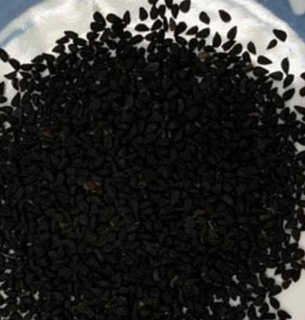 Фото: Osaka Metropolitan University