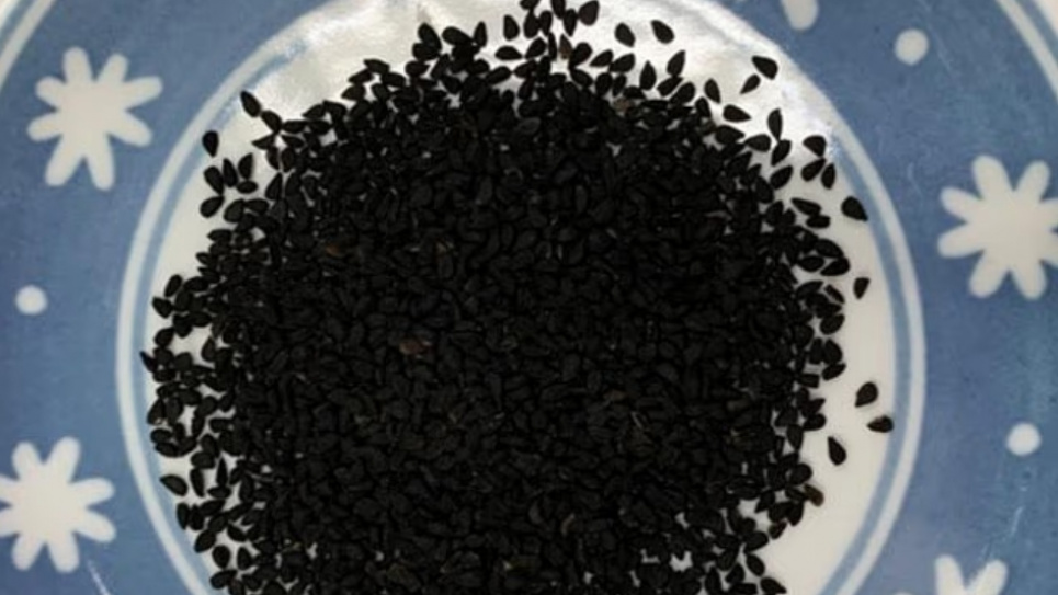 Фото: Osaka Metropolitan University