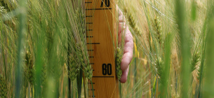 У 2025 році в Україні зареєстрували майже 1,8 тисячі нових агрокомпаній