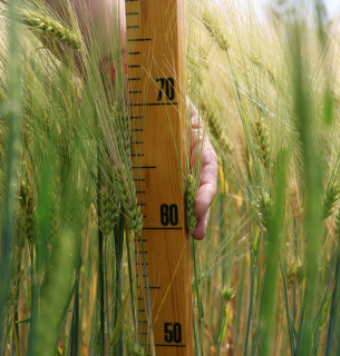 У 2025 році в Україні зареєстрували майже 1,8 тисячі нових агрокомпаній