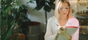 Екопрофесії 2025: що змінює український ринок праці — аналітика Jooble