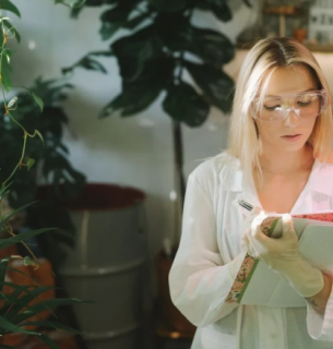 Екопрофесії 2025: що змінює український ринок праці — аналітика Jooble