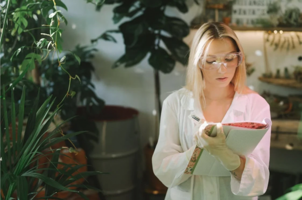 Екопрофесії 2025: що змінює український ринок праці — аналітика Jooble