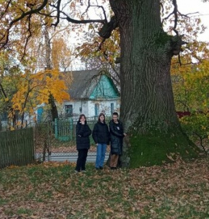 Голосування за "Дерево року": два дуби з Хмельниччини