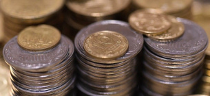 Акция #PowerCoins 2025: НБУ и UAnimals собирают монеты для спасения животных. Партнеры: Ощадбанк и ПУМБ.