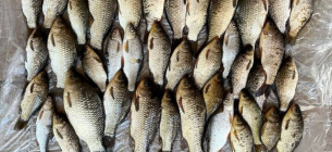 На Кременчуччині суд виправдав чоловіка, якого обвинувачували в незаконному вилові риби