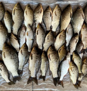 На Кременчуччині суд виправдав чоловіка, якого обвинувачували в незаконному вилові риби