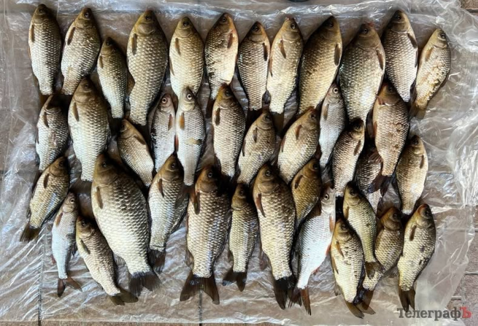 На Кременчуччині суд виправдав чоловіка, якого обвинувачували в незаконному вилові риби