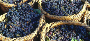 Международный день Маратефтико - International Maratheftiko Day