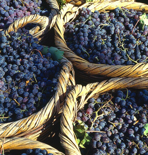 Міжнародний день Маратефтіко (International Maratheftiko Day)