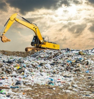 Всесвітній день запобігання забрудненню довкілля 2025 — захист природи й здоров’я